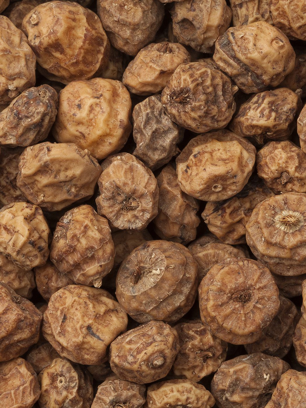 Huile De Souchet Nxdistrib Huile De Souchet Nxdistrib