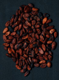 Fèves de cacao séchées