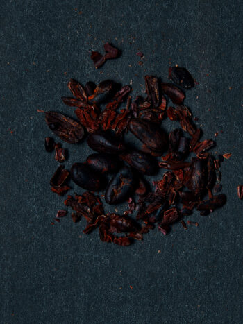 Fèves de cacao séchées