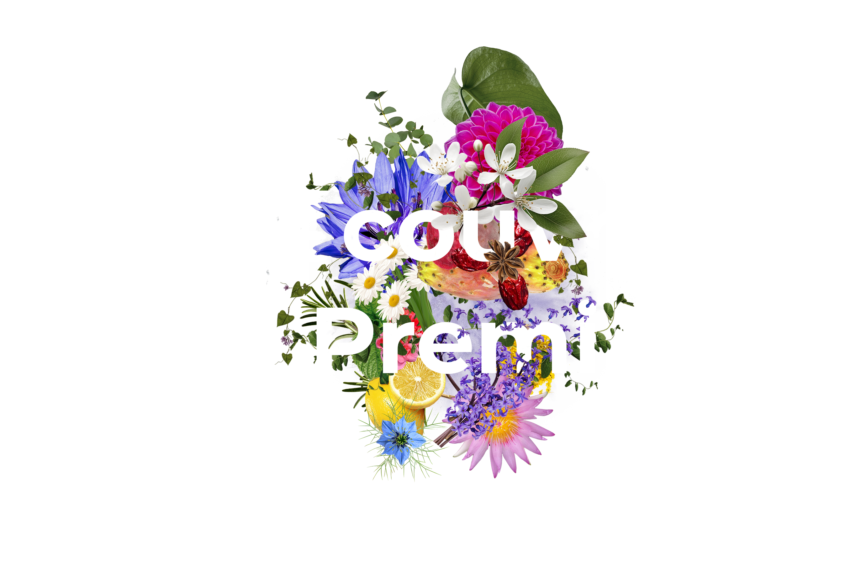 Catalogue matières premières Nxdistrib